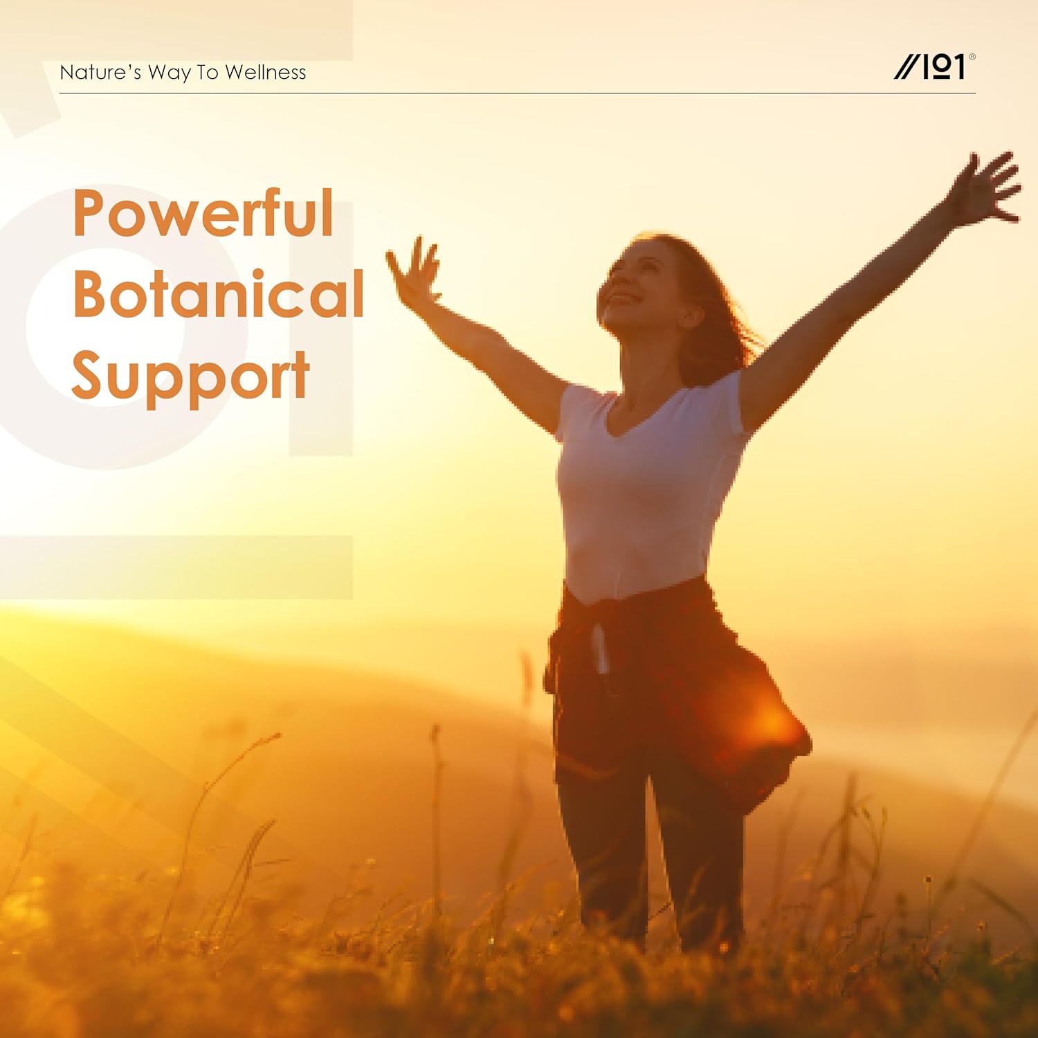 clove, wormwood & green black walnut hull 525mg – 90 vegan capsules – high strength multi botanical complex supplement – resealable and recyclable pouch by alpha01 clove, wormwood & green black walnut hull 525mg – 90 vegan capsules – high strength multi botanical complex supplement – resealable and recyclable pouch by alpha01