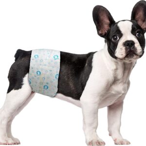 scratchme disposable male diaper super absorbent and leak proof excitable urination or incontinence 40 count small white