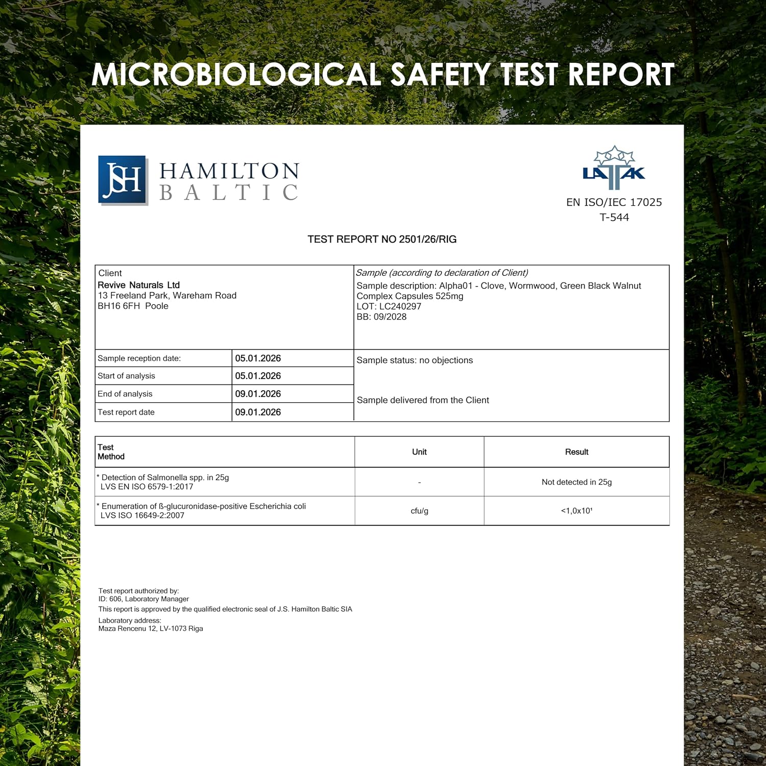 clove, wormwood & green black walnut hull 525mg – 90 vegan capsules – high strength multi botanical complex supplement – resealable and recyclable pouch by alpha01 clove, wormwood & green black walnut hull 525mg – 90 vegan capsules – high strength multi botanical complex supplement – resealable and recyclable pouch by alpha01